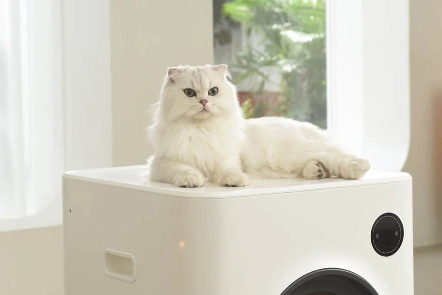 odorless cat box