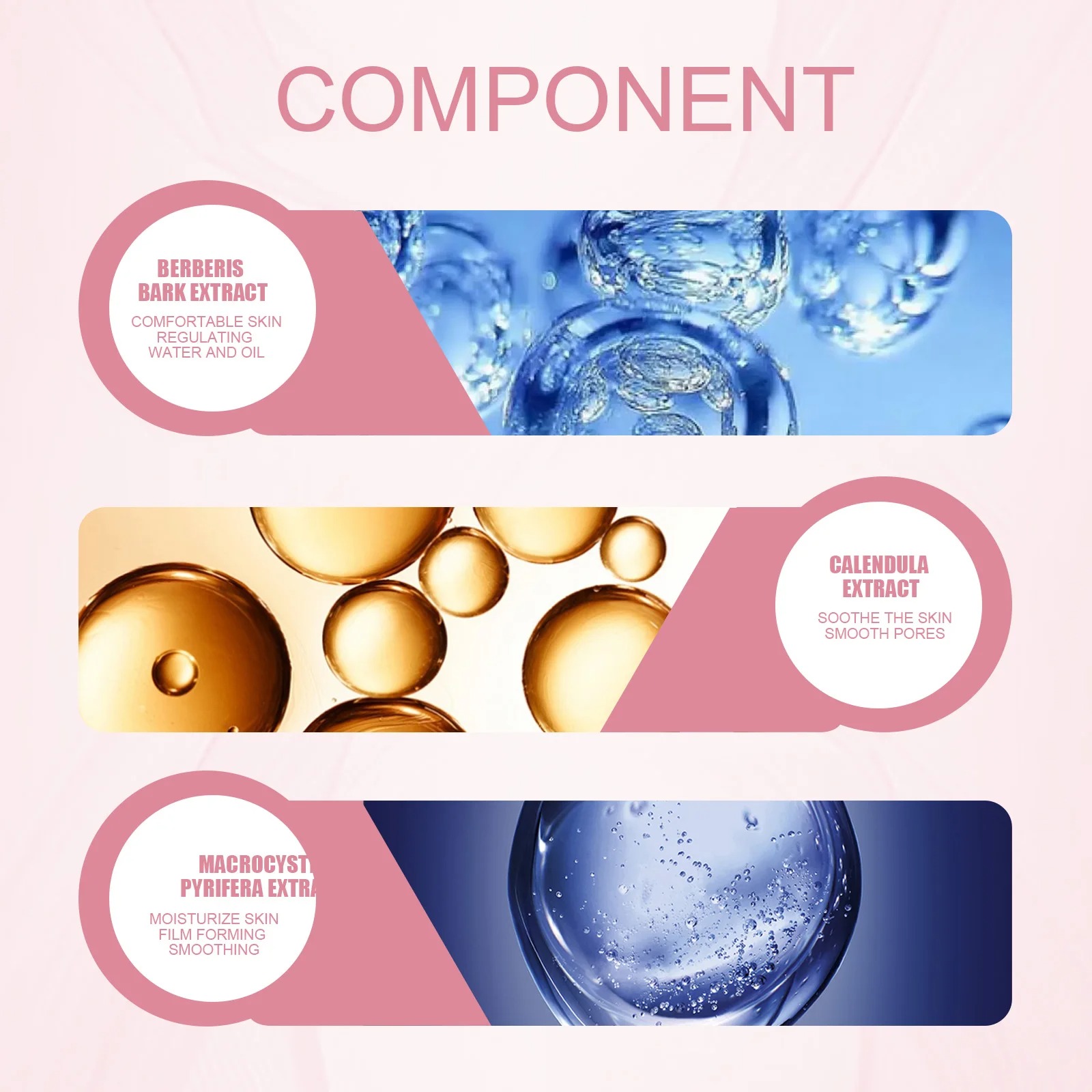 Infographic featuring three skincare ingredients—Berberis Bark Extract, Calendula Extract, and Macrocystis Pyrifera Extract—each illustrated with icons and described for their skin-enhancing benefits